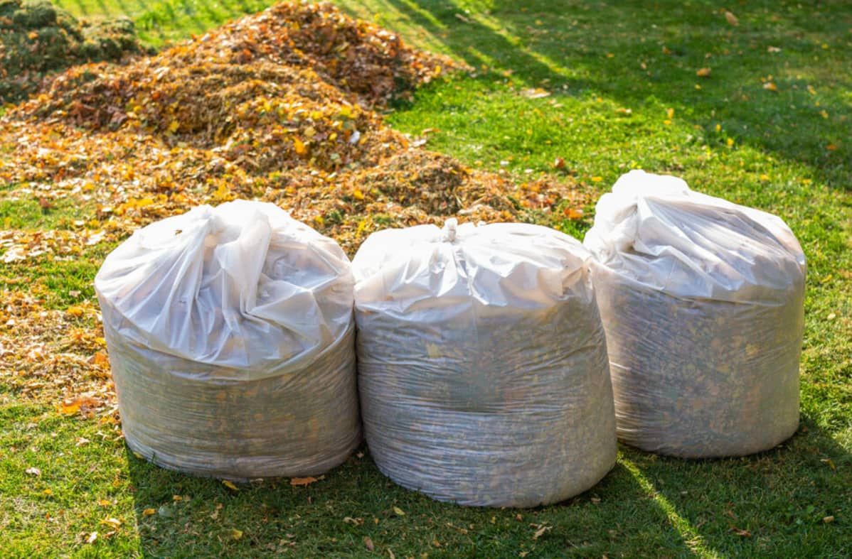 Bins of green waste