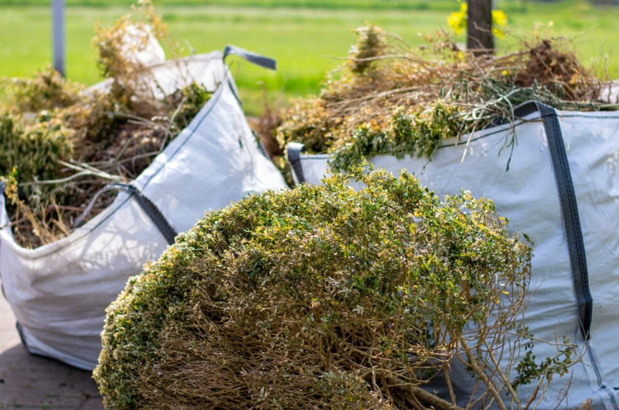 Many garden bags filled with green waste